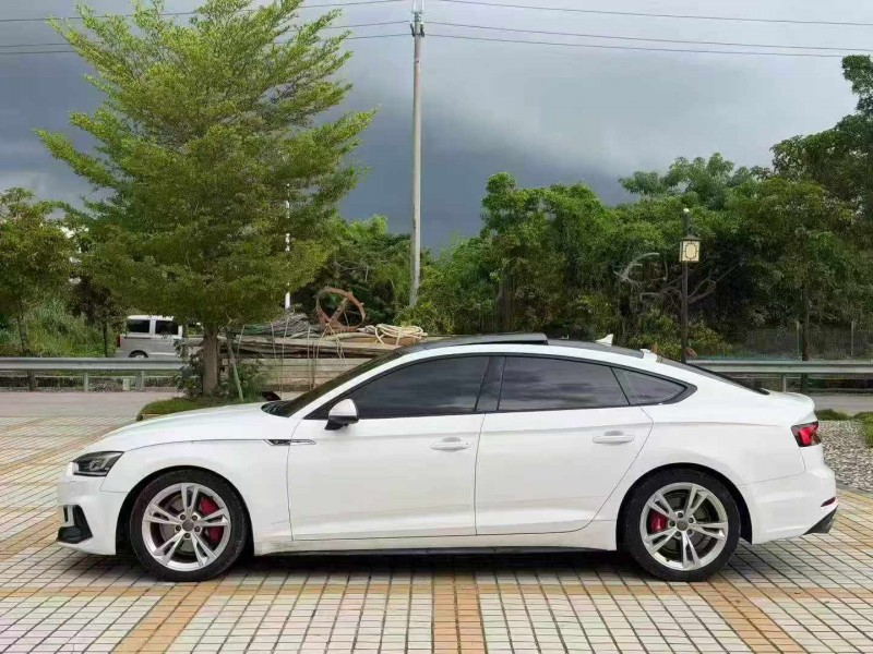佛山20年奥迪A52