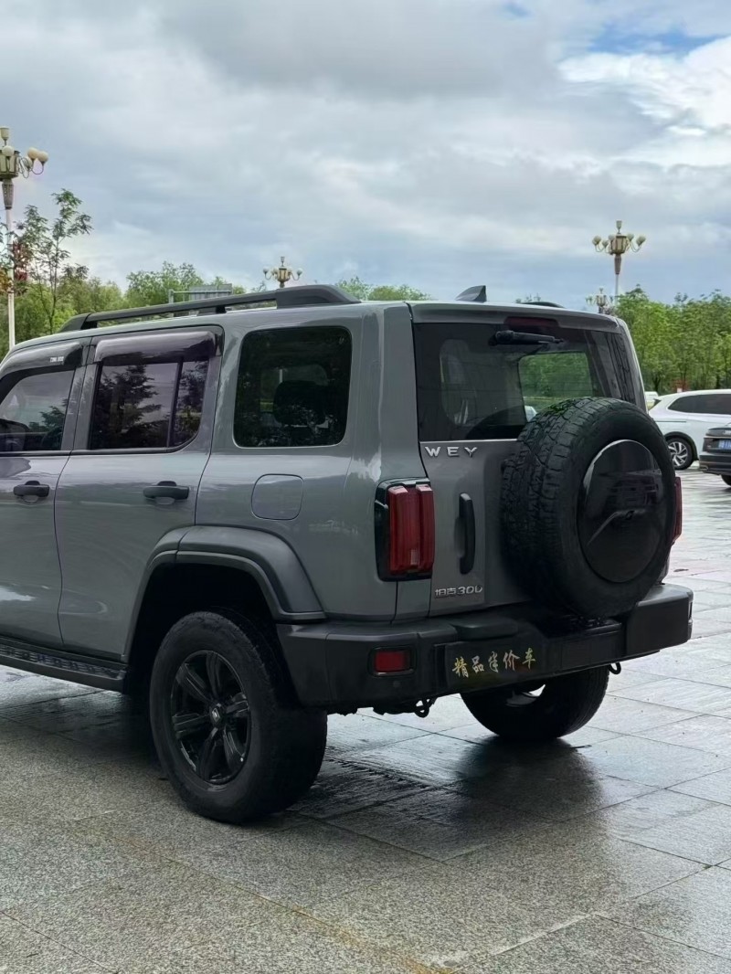 吉林21年長城汽車坦克4