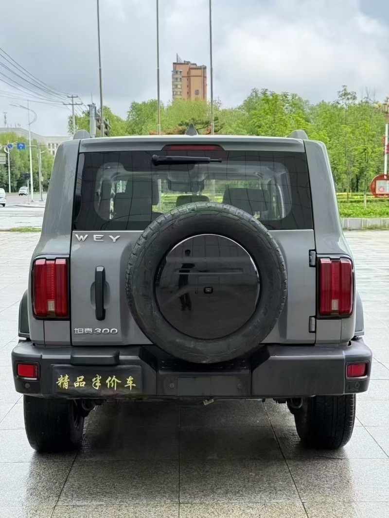 吉林21年長城汽車坦克5