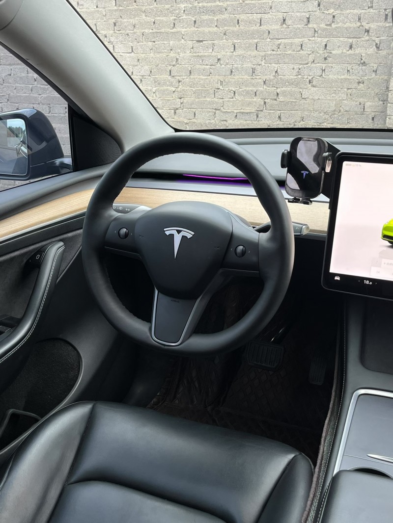 廊坊23年特斯拉MODEL Y4