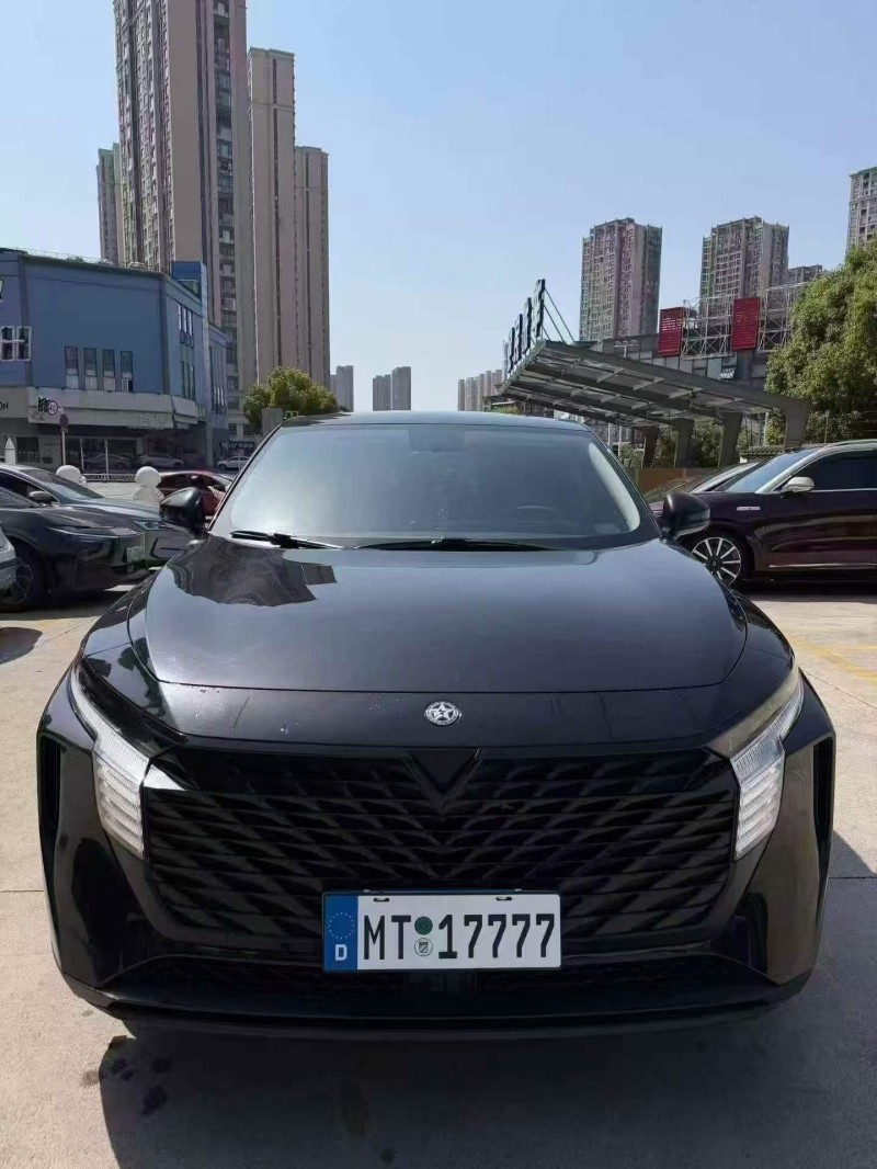 常德24年啟辰大V1