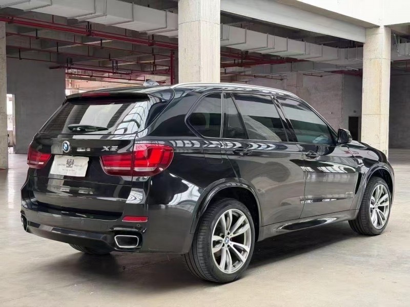 广州18年宝马X54