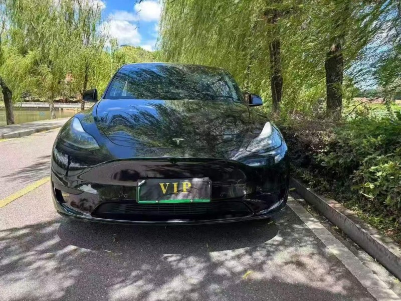 新余23年特斯拉MODEL Y1