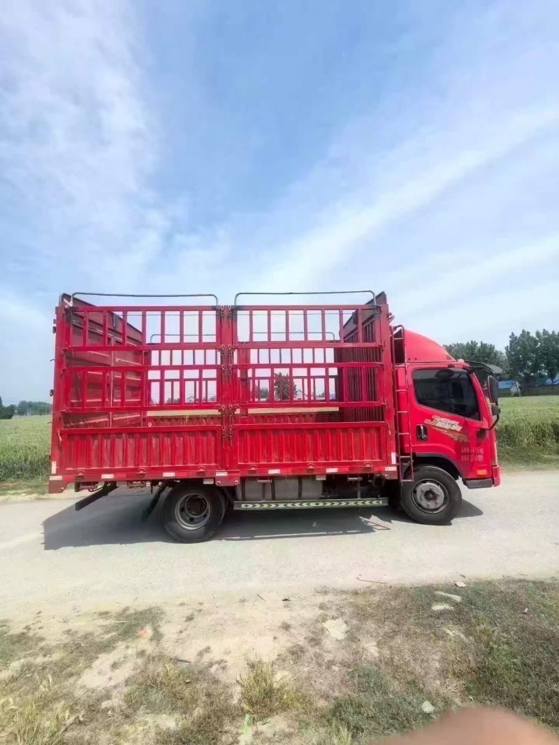 菏澤25年解放解放卡車7