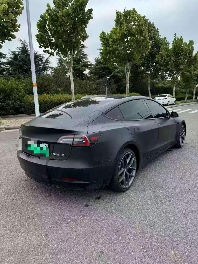 洛陽21年特斯拉MODEL 38