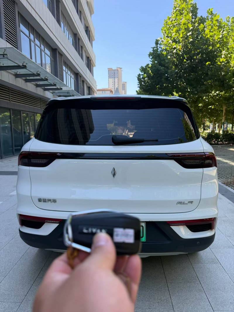 阜阳25年吉利睿蓝9