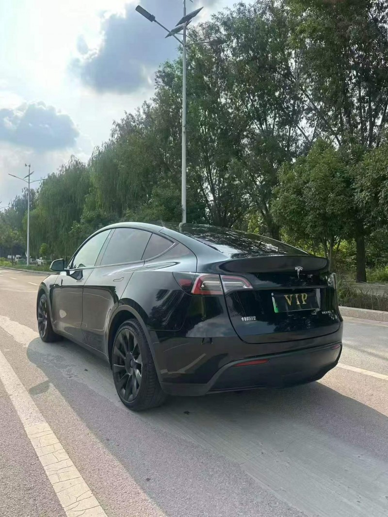 湛江21年特斯拉MODEL Y9