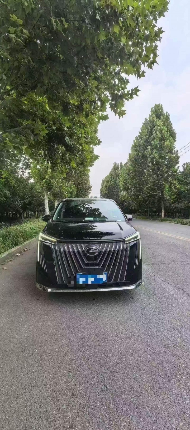 新乡24年传祺M8/GM81