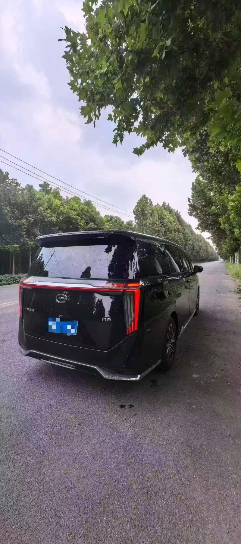新乡24年传祺M8/GM86