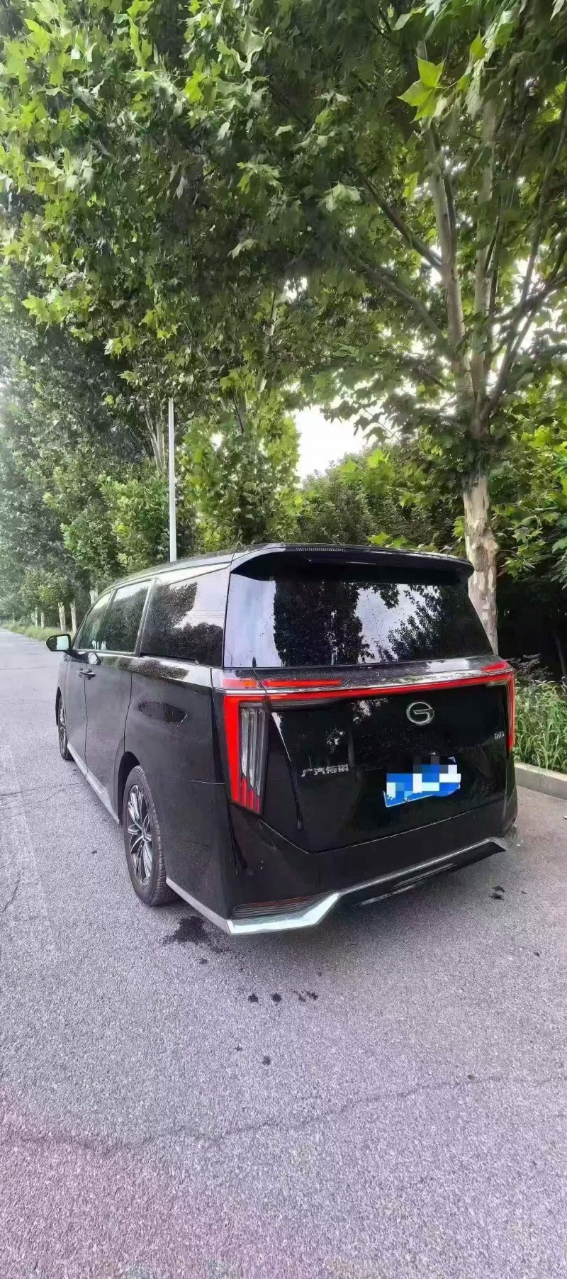 新乡24年传祺M8/GM88