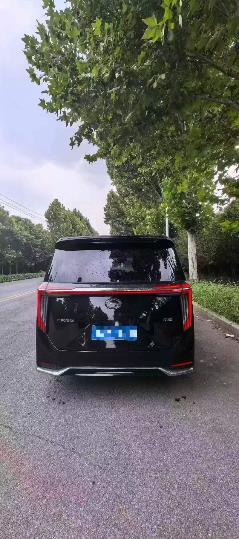 新乡24年传祺M8/GM89