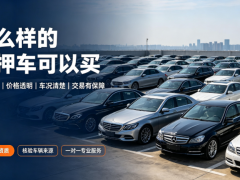 什么樣渠道的抵押車可以買
