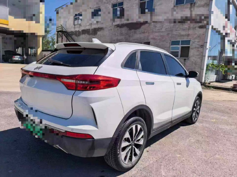 保定20年威馬汽車EX-58