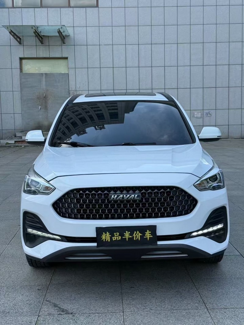 吉林20年哈弗M61