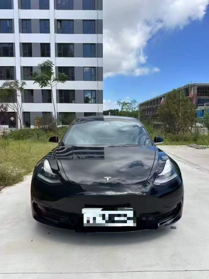 钦州20年特斯拉MODEL 31