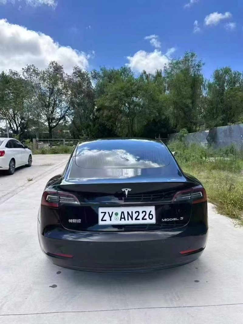 钦州20年特斯拉MODEL 39