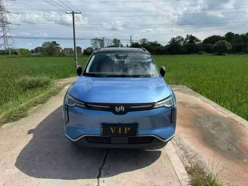 嘉興22年威馬汽車W61
