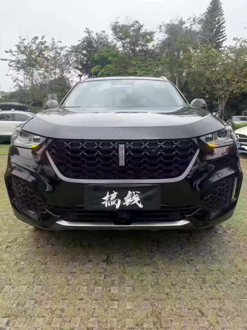 汕頭19年長城汽車魏牌1