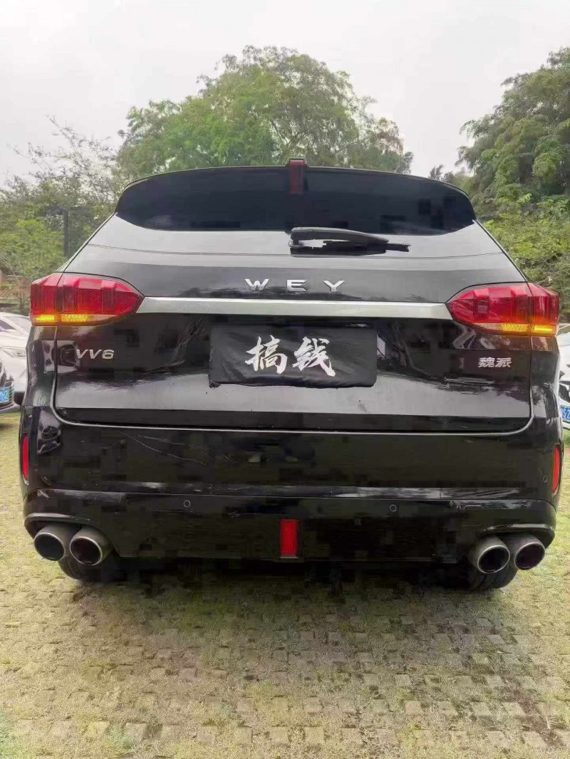 汕頭19年長城汽車魏牌9
