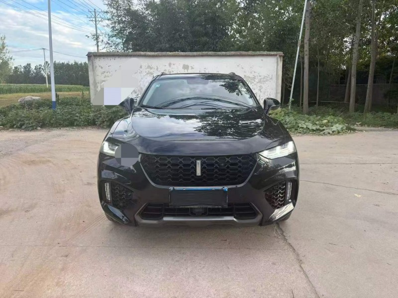 徐州17年長城汽車WEY1