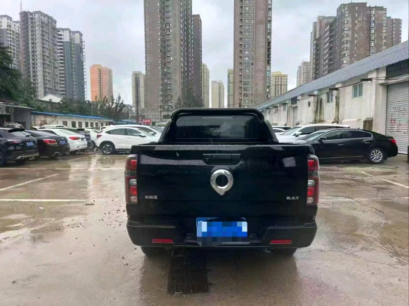 許昌25年長城汽車炮 皮卡8