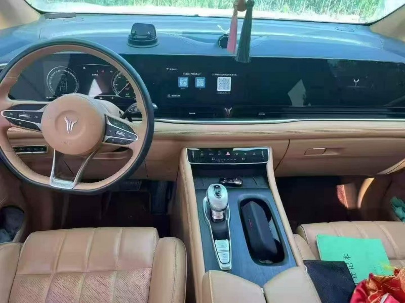 渭南24年嵐圖汽車夢想家4