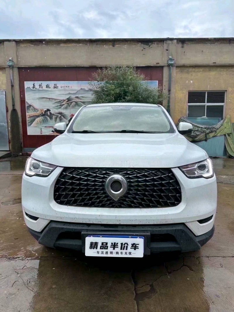 濰坊22年長城汽車炮 皮卡1