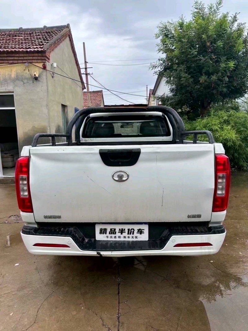 濰坊22年長城汽車炮 皮卡8