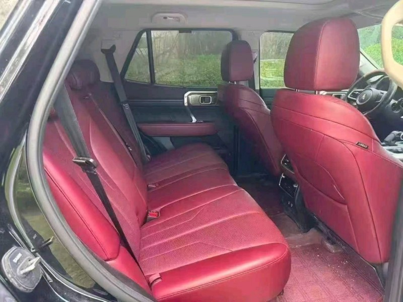 棗莊25年長城汽車坦克4