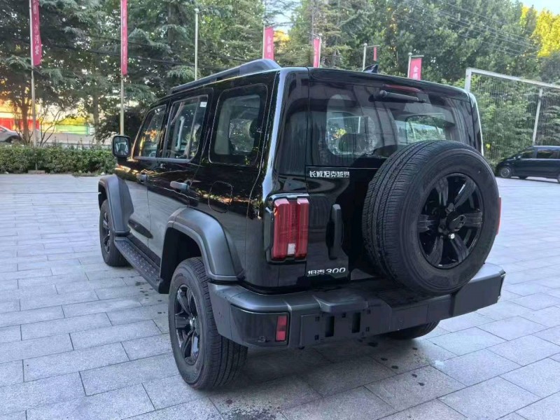 滄州25年長城汽車坦克3
