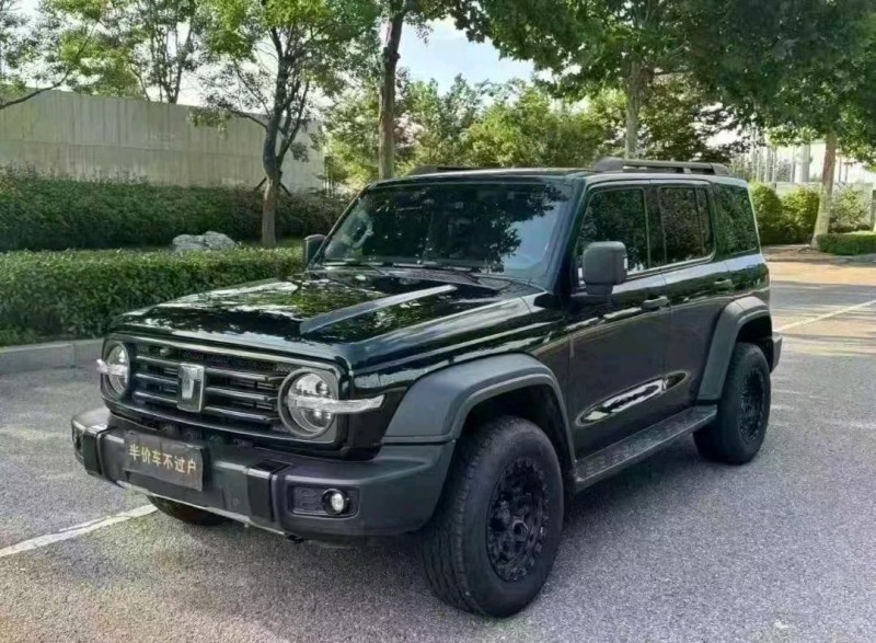 濰坊23年長城汽車坦克2