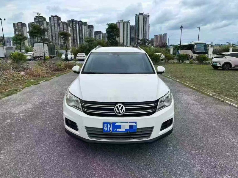 南寧11年大眾途觀1