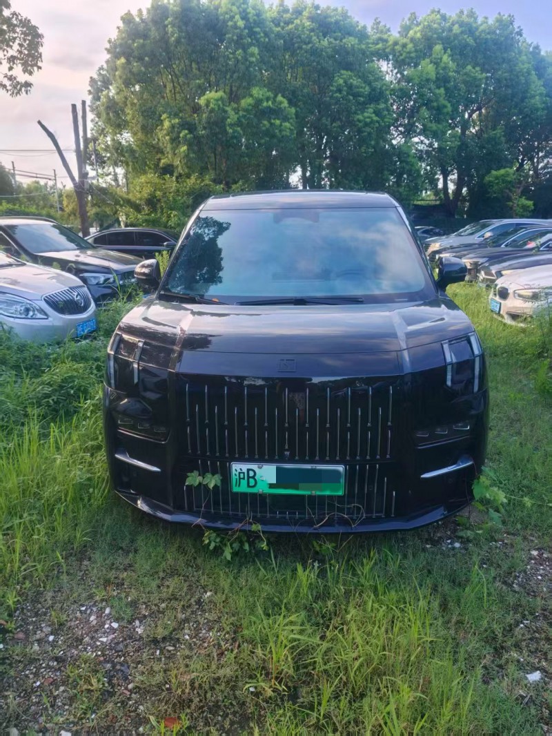 聊城23年極氪汽車0091