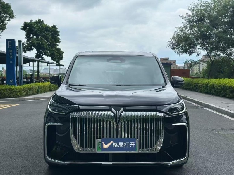 東莞25年嵐圖汽車夢想家1