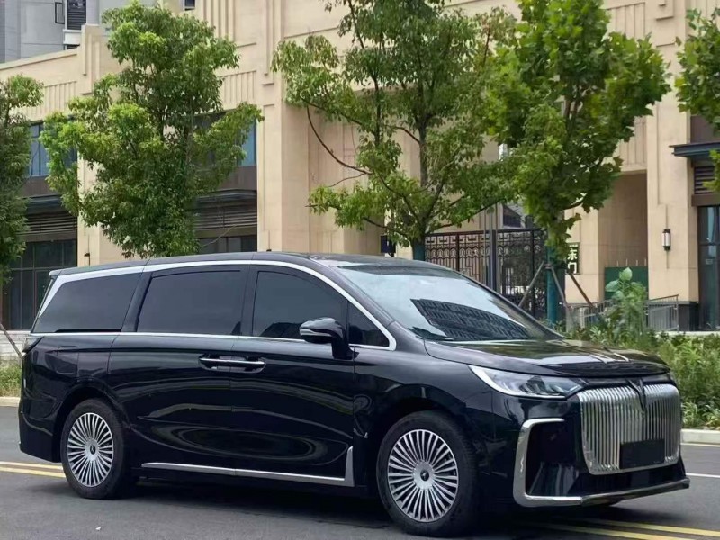 孝感25年嵐圖汽車夢想家2