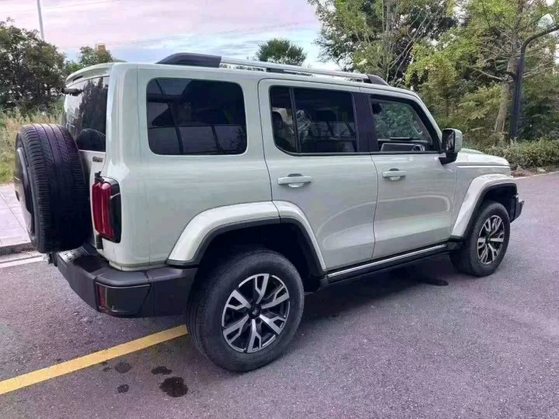 鄂州22年長城汽車坦克7
