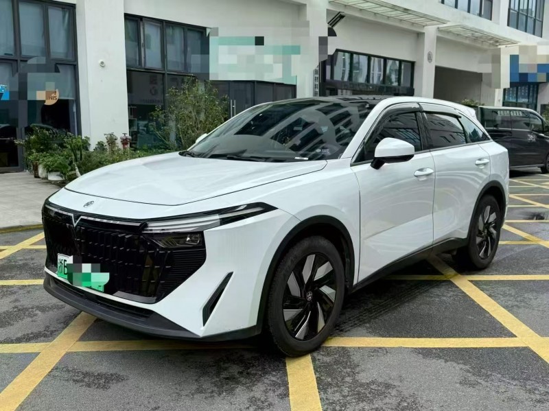 深圳24年啟辰大V2