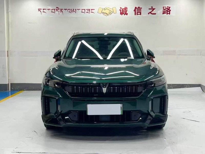 荊州25年嵐圖汽車FREE1