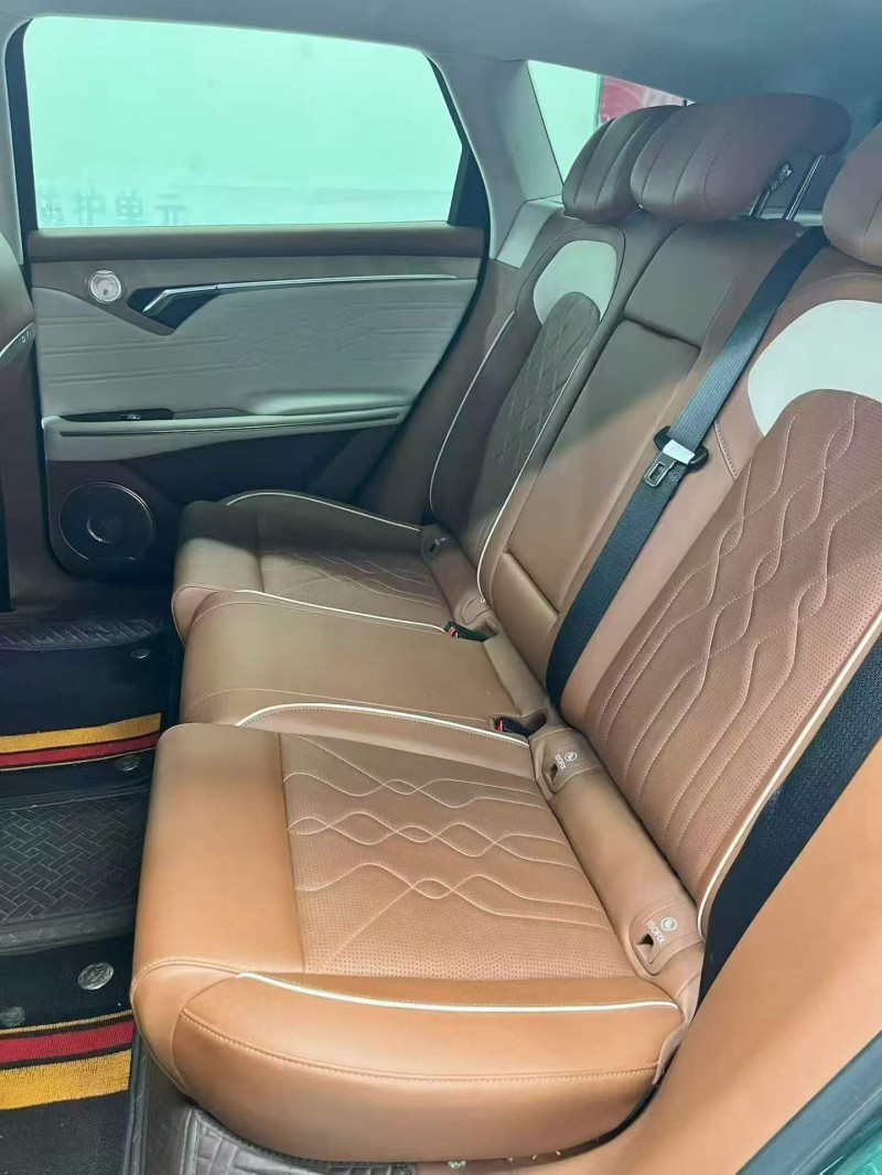 荊州25年嵐圖汽車FREE6
