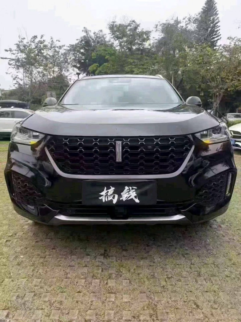 汕头19年长城汽车魏牌1