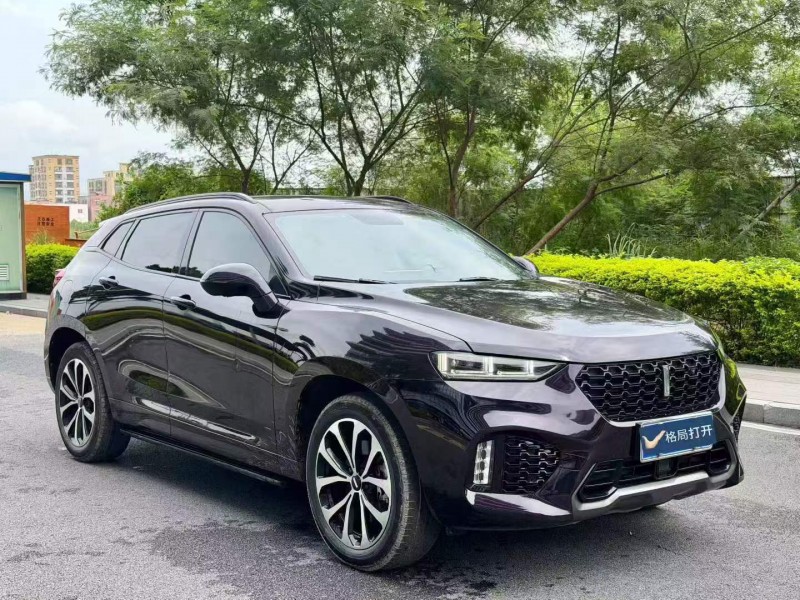 東莞18年長城汽車WEY2