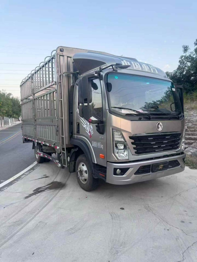 鶴壁25年卡車系列重汽王牌2