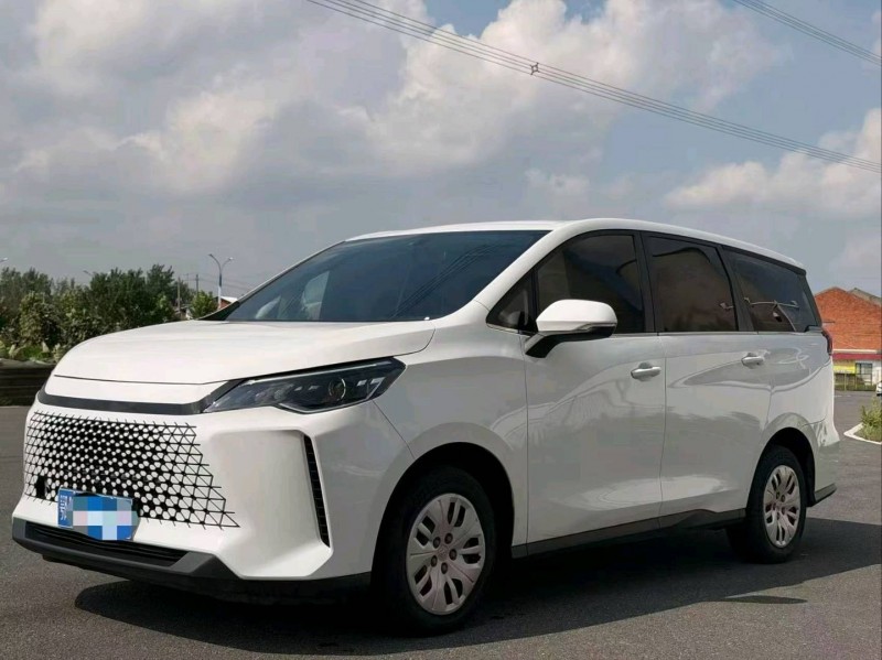 武漢25年大通G503