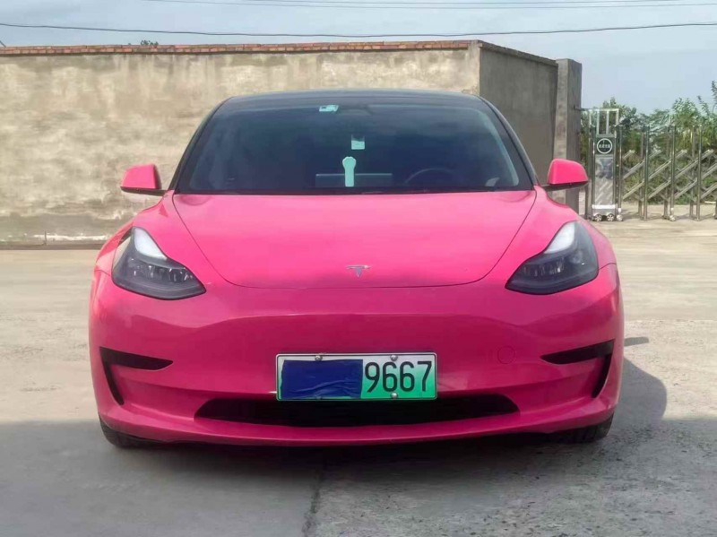 鄂州22年特斯拉MODEL 31