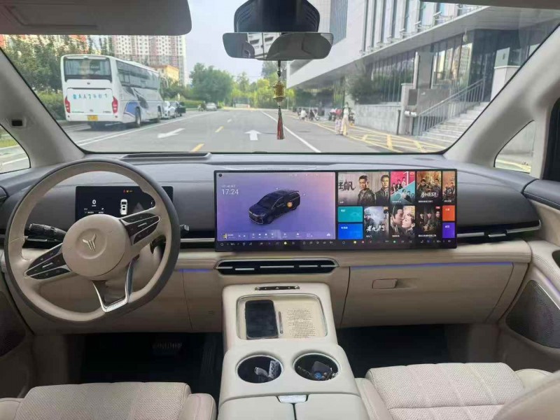 濟南25年嵐圖汽車夢想家4