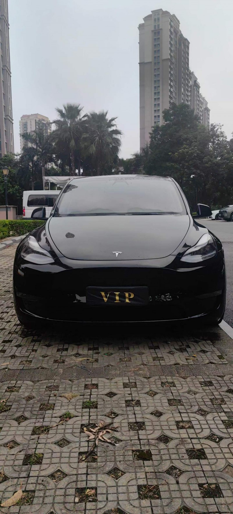 百色24年特斯拉MODEL Y1