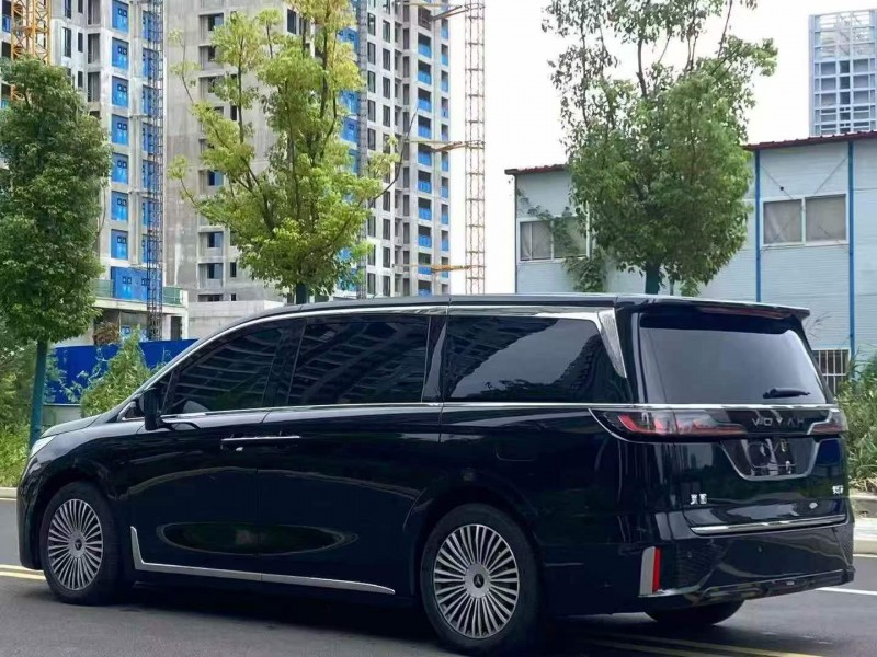 宜昌25年嵐圖汽車夢想家5