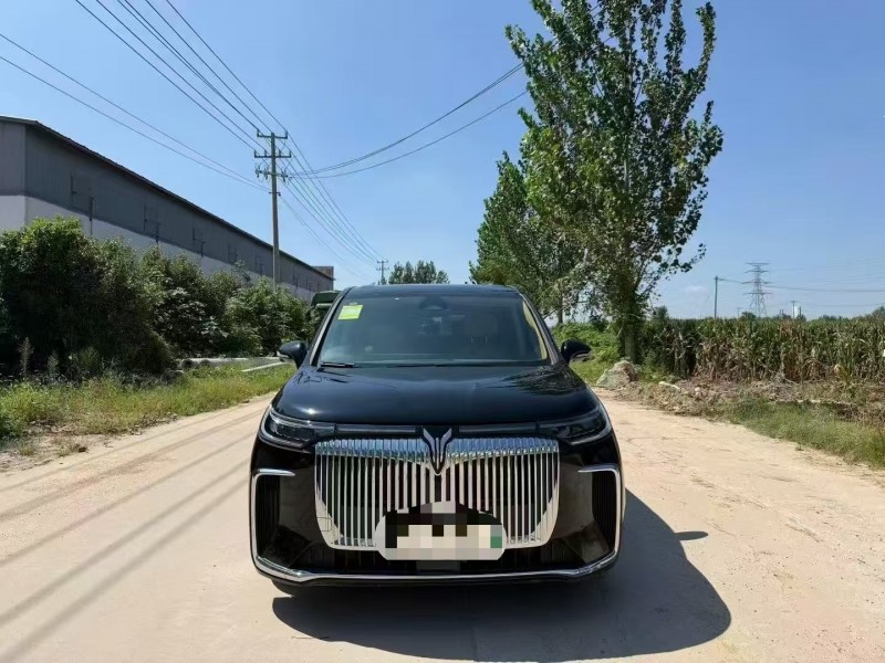 菏澤25年嵐圖汽車夢想家1