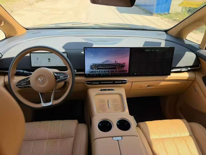 菏澤25年嵐圖汽車夢想家4