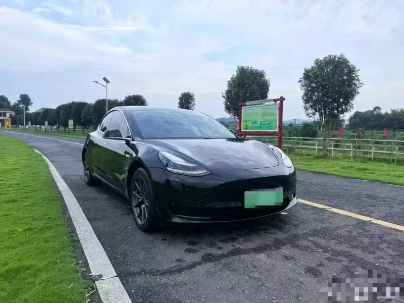 溫州20年特斯拉MODEL 33